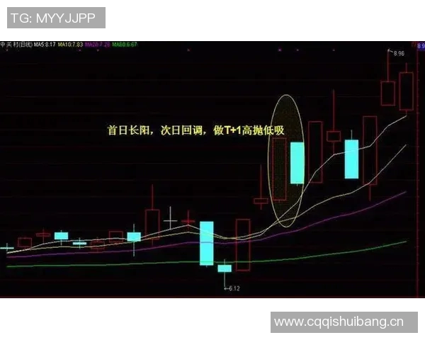 巴黎鲜为人知的秘密 十大冷知识揭开城市神秘面纱 巴黎鲜为人知的秘密 十大冷知识揭开城市神秘面纱