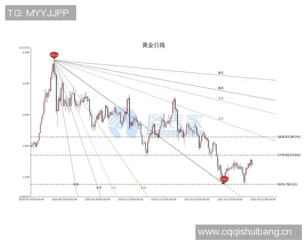 【深度解析】选秀近况+未来走势预测