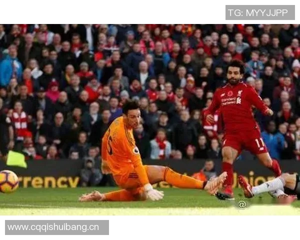 专家深度解读本周体坛焦点赛事走势与胜负预测分析